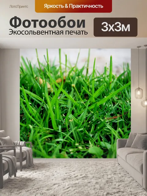 Фотообои зеленые травинки