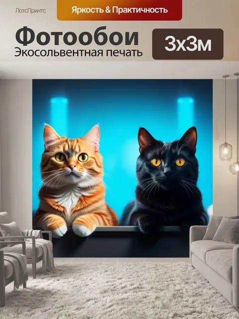 Фотообои с котиками смешной