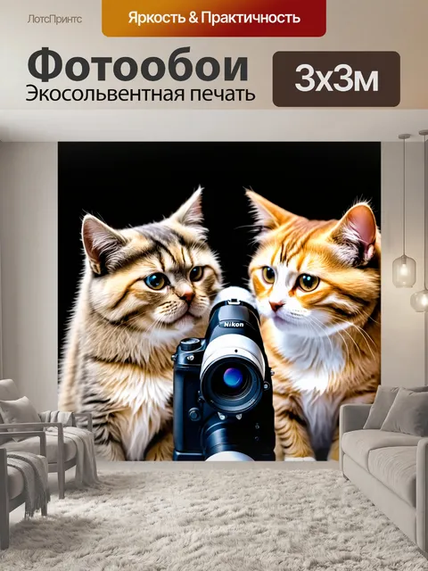 Фотообои кошки, исследующие космос с помощью телескопа