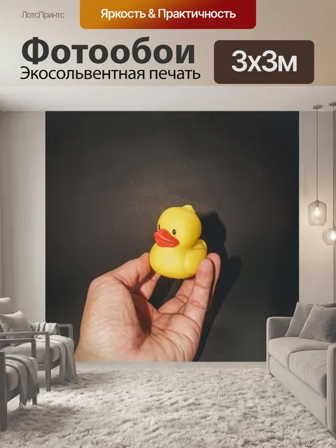 Фотообои ванна утка игрушка