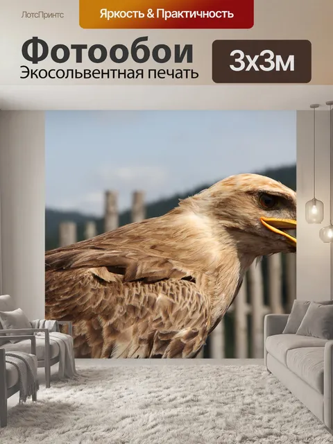 Фотообои Орел