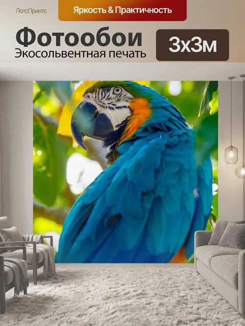 Фотообои Синий и желтый ара