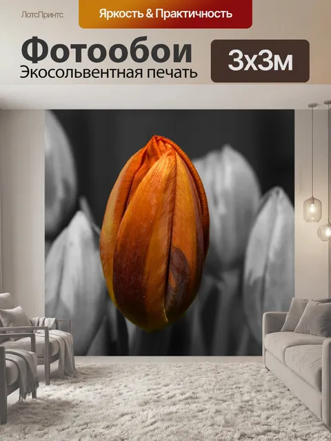 Фотообои Оранжевый