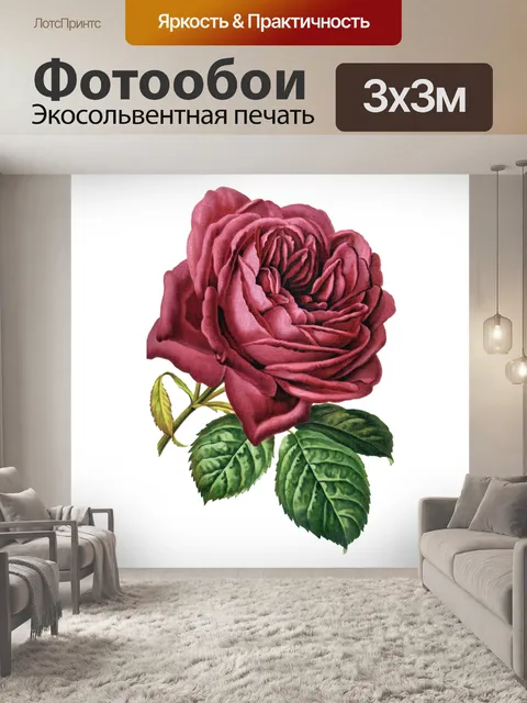 Фотообои Винтаж Клипарт Роза цветок