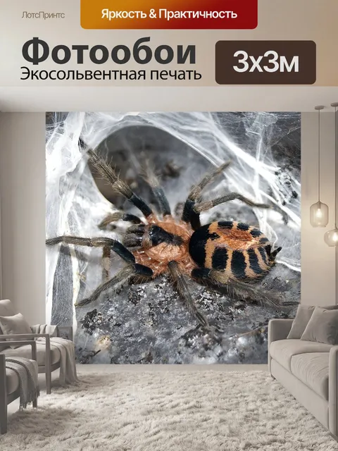 Фотообои Тарантул