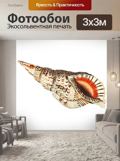 Фотообои Морская ракушка клипарт винтажное искусс