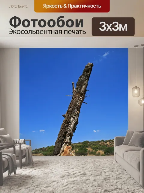 Фотообои мертвый пень дерева против голубого неба