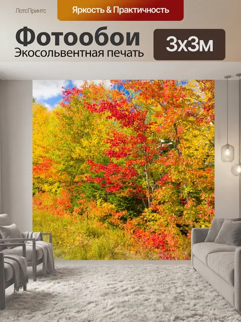 Фотообои Деревья осенью