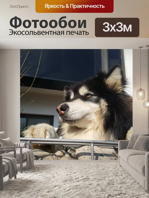 Фотообои Собака