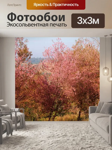 Фотообои Prunus cerasoides, дикая гималайская виш