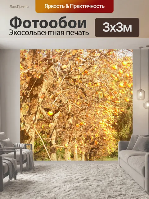 Фотообои Растения хурмы