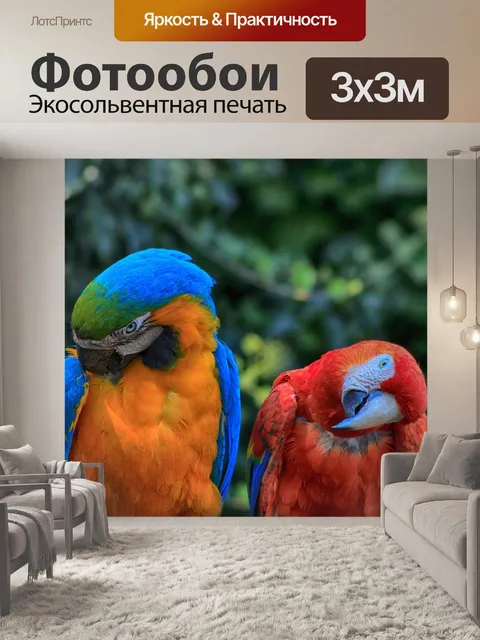 Фотообои Попугай