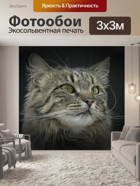 Фотообои Похмелье