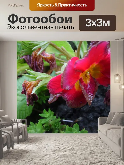 Фотообои Цветок в саду