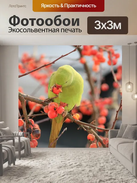 Фотообои Волнистый попугайчик