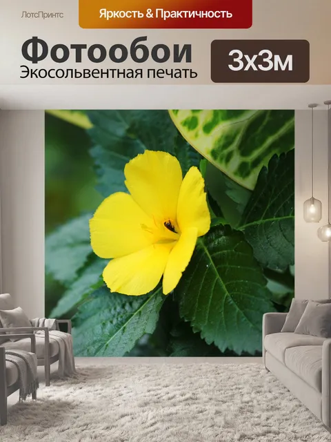 Фотообои желтый цветок 2