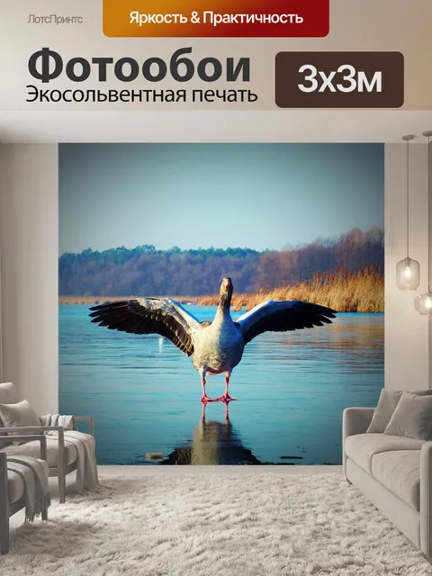 Фотообои Гусь на льду