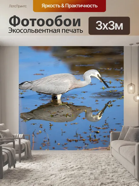 Фотообои Птица