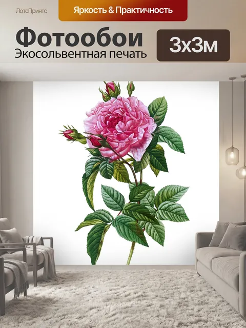 Фотообои Клипарт цветок старинное искусство