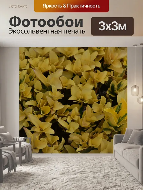 Фотообои Желтый завод фон