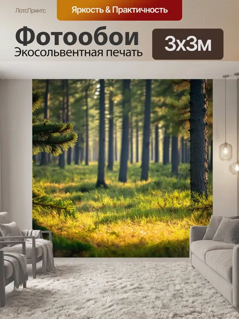 Фотообои россия леса, светлое утро в сосновом лесу, свежая роса, пение птиц