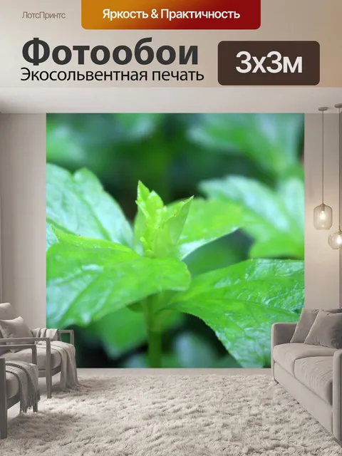 Фотообои Зеленые листья 2