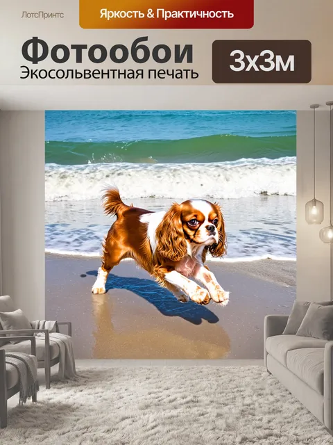 Фотообои великолепная собака породы кавалер кинг чарльз спаниель