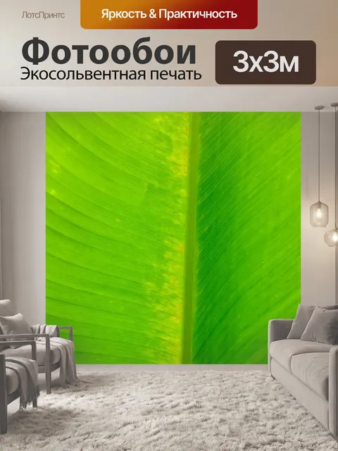 Фотообои Зеленые пальмовые листья