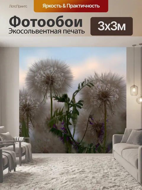 Фотообои Одуванчик