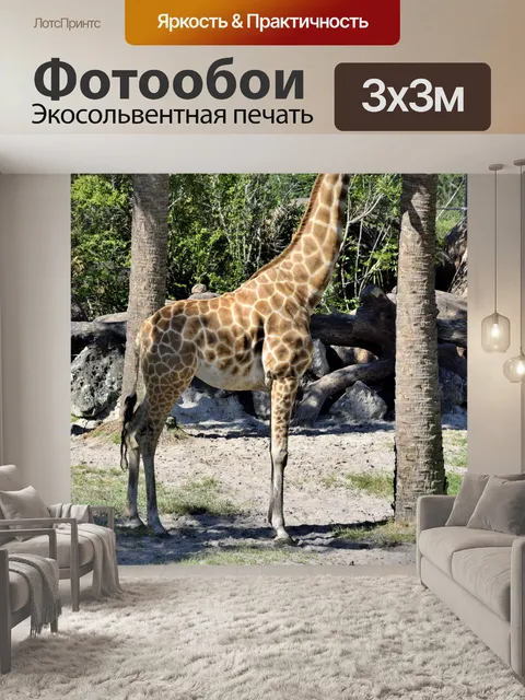 Фотообои Жираф в зоопарке