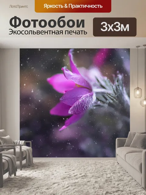 Фотообои Анемон