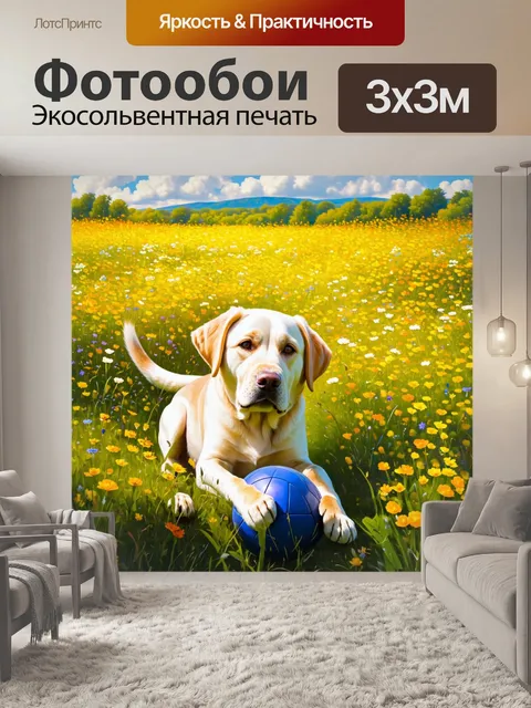 Фотообои лабрадор-ретривер, играющий с мячом на заливном лугу, окружённый яркими полевыми цветами