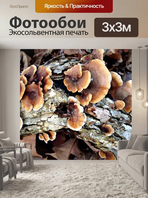 Фотообои Флора Этажи леса