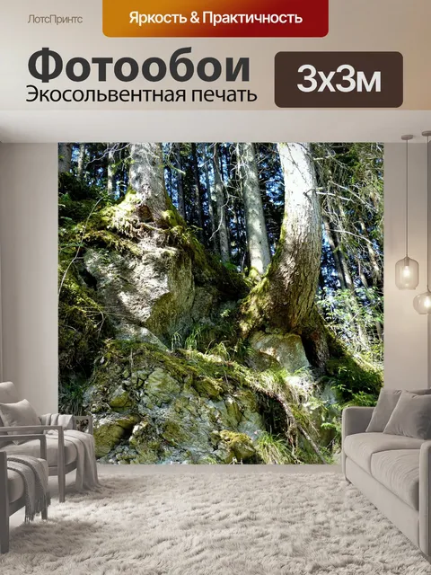 Фотообои Корни деревьев