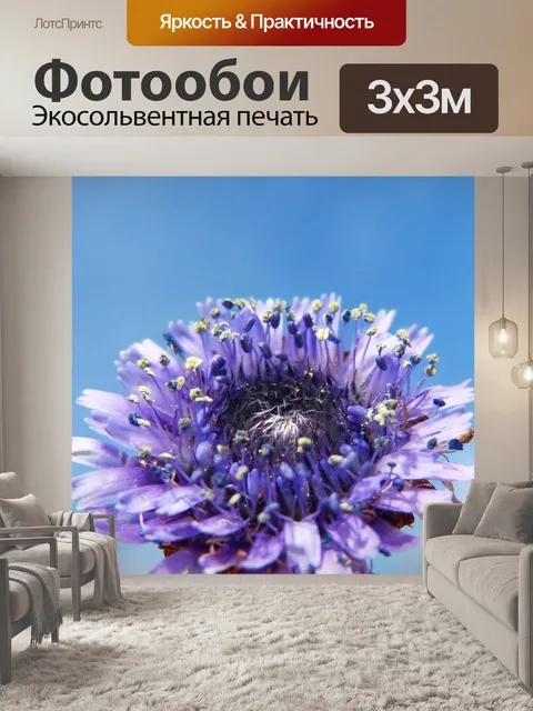 Фотообои Лесной цветок