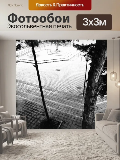 Фотообои Деревья