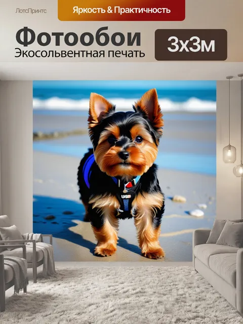 Фотообои питомец йорк на морском берегу