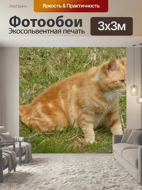 Фотообои Кошки
