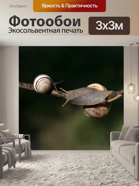 Фотообои Улитки