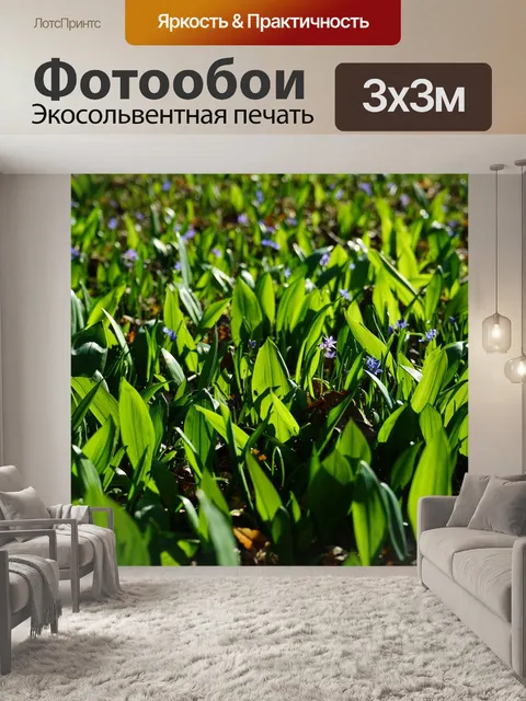 Фотообои Голубая звезда