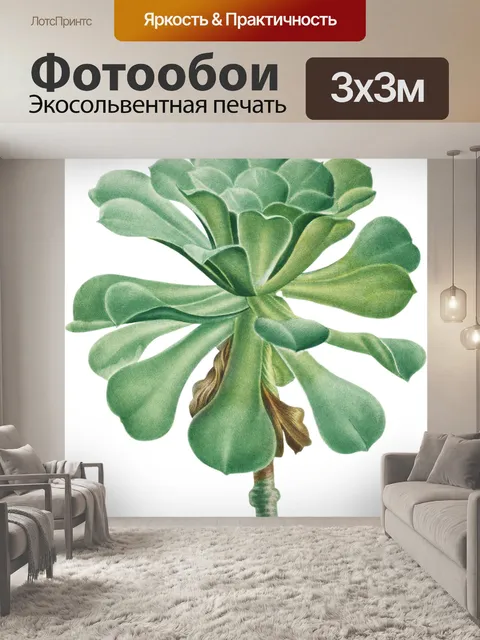 Фотообои Гигантская бархатная роза