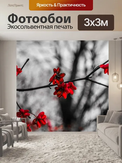 Фотообои Цветы