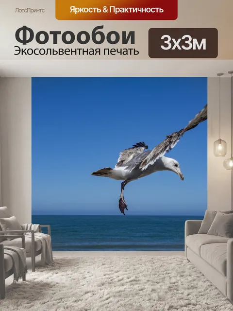 Фотообои летающая чайка