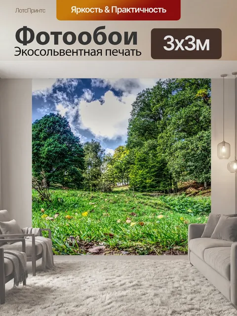 Фотообои Лес