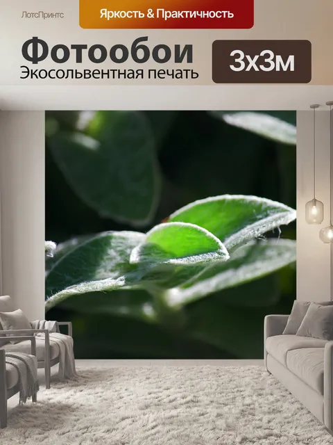 Фотообои солнечный свет на пушистом зеленом ухе я