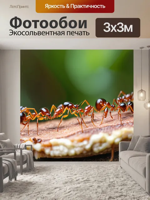 Фотообои охота на муравьев, собирающихся вокруг куска пищи в лесу