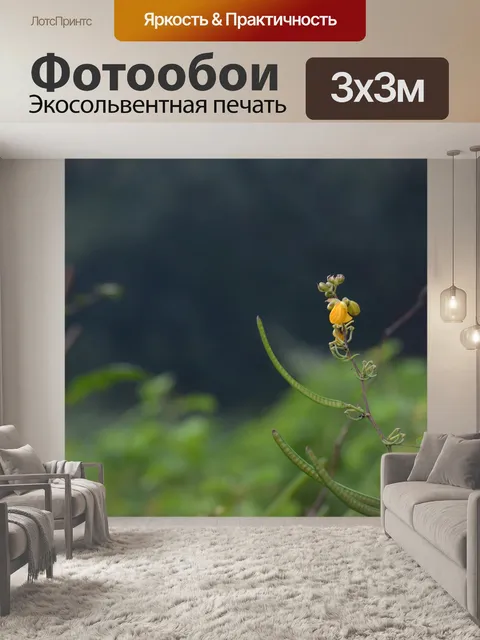 Фотообои Цветок