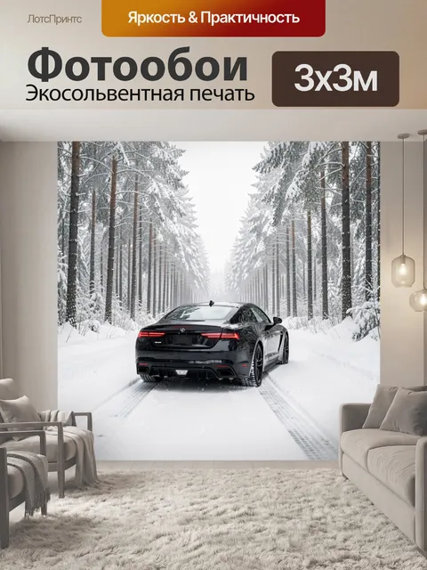 Фотообои Черный спорткар в зимнем лесу
