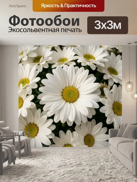 Фотообои Белые ромашки крупным планом