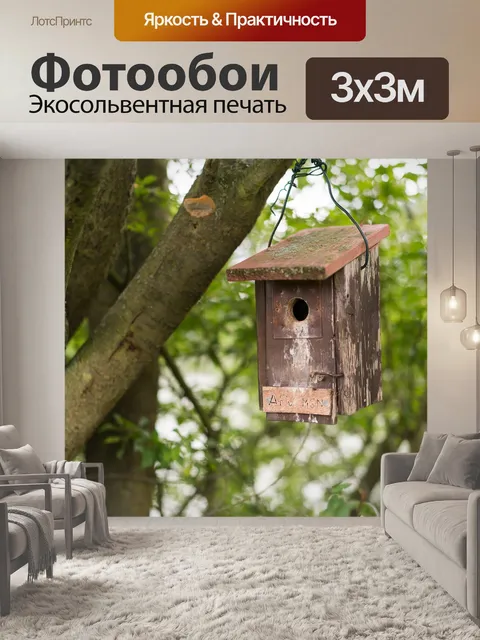 Фотообои Птичий домик